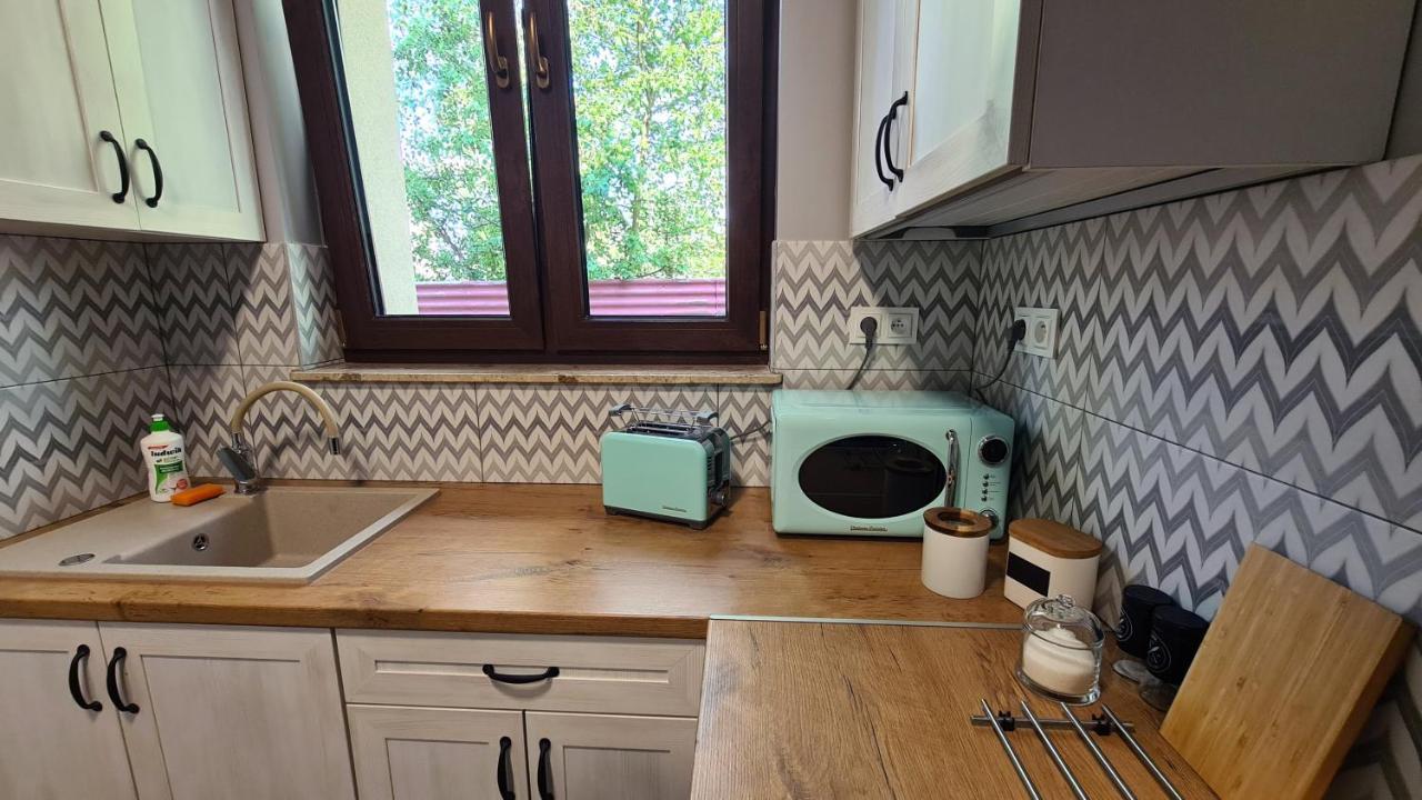 Urocze Apartamenty Na Wsi Goledzinow Kültér fotó